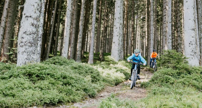 Downhillen - Aktivurlaub in Wagrain-Kleinarl